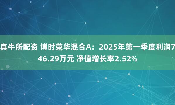 真牛所配资 博时荣华混合A：2025年第一季度利润746.29万元 净值增长率2.52%